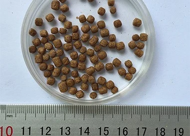 aqarium Butterfly Koi fish food aqarium Butterfly Koi fish food