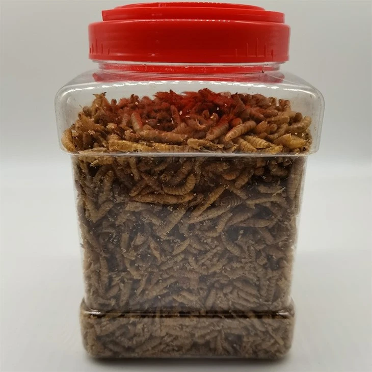 بهترین غذای ماهی لاروهای خشک شده Microwaved BSF